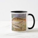 Search for anglers mugs Insects