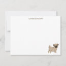 Search for i note cards Pets