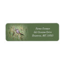 Search for birder cards invites Birdwatcher