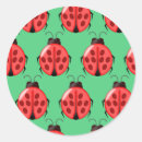 Search for ladybug stickers Pattern