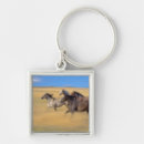 Search for blur accessories Cloud