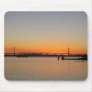 Search for suny Sunset