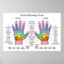 Search for foot massage posters Reflexology
