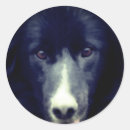 Search for black border stickers Cute