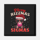Search for sigma magnets Winter