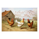 Search for chicken hens posters French