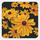 Search for black eyed susan flower stickers Botanical