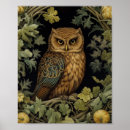 Search for victorian owl posters Antique