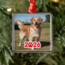 Search for paw with christmas tree decorations Simple