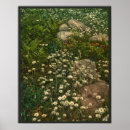 Search for mountain daisy posters Daisies