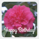 Search for camellia stickers Red flower