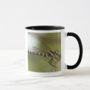 Search for front and back mugs Outdoors