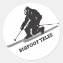 Search for tele Snow