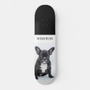 Search for bulldog skateboards Pet