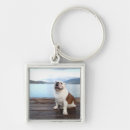Search for decking key rings Nature