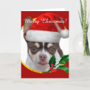Search for chihuahua christmas cards Puppies