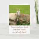 Search for cancer thinking of you get well cards Funny