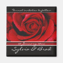 Search for timeless magnets Formal