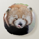 Search for red panda cushions Cute