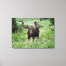 Search for moose canvas prints Antler
