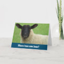 Search for funny thinking of you postcards Ewe