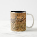 Search for mule mugs Nature