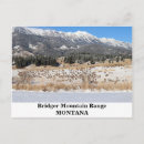 Search for range animal postcards Wildlife