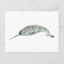 Search for whale postcards Marine biology