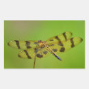 Search for dragonfly gold stickers Golden