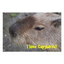 Search for i love animals posters Cute