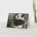 Search for wanna be cards Humour