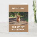 Search for dog sayings cards Photography