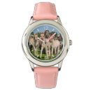 Search for foal accessories Ponies