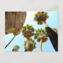 Search for oasis postcards California