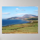 Search for arran Isle