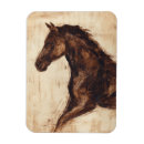 Search for profile magnets Animal