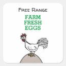 Search for free range Egg carton