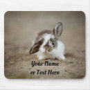 Search for rabbit electronics Sweet
