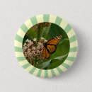 Search for weeds badges Butterfly