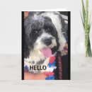 Search for fabulous friend birthday cards Co worker