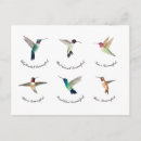 Search for backyard birds postcards Garden