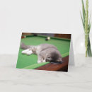 Search for new kitten cards Photography