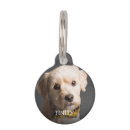 Search for photo pet tags Cute