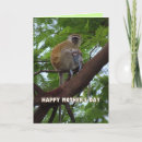 Search for monkey mothers day cards Humour