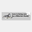Search for husky bumper stickers Puppy