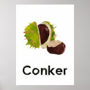 Search for conkers Fall