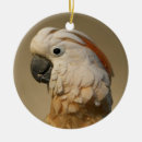 Search for cockatoos christmas tree decorations Parrot
