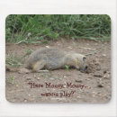 Search for burrowing photography Wildlife