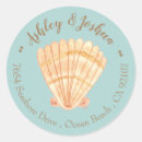 Search for scallop shell stickers Watercolor
