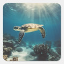Search for coral reef stickers Corals